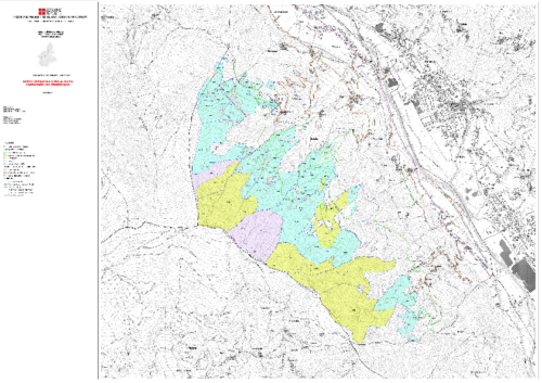 CARTA FORESTALE E DELLE ALTRE COPERTURE DEL TERRITORIO