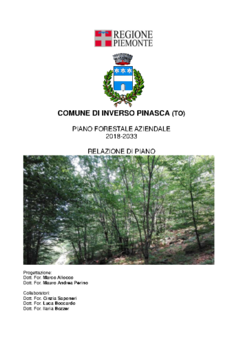Relazione di Piano_02
